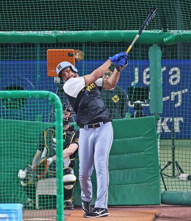 　フリー打撃をするヘルナンデス（撮影・立川洋一郎）