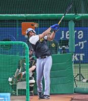 　フリー打撃をするヘルナンデス（撮影・立川洋一郎）