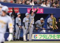 　９回、坂本が勝ち越し２点適時二塁打を放ち、喜ぶ大山（中央）ら阪神ナイン（撮影・北村雅宏）