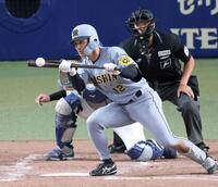 　５回、スクイズバントを成功させ先制点を挙げる坂本（撮影・立川洋一郎）