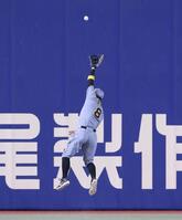 ９回、中日・福永裕基の打球を、ジャンプしての捕球を試みる阪神・佐藤輝明＝バンテリンドームナゴヤ（撮影・北村雅宏）