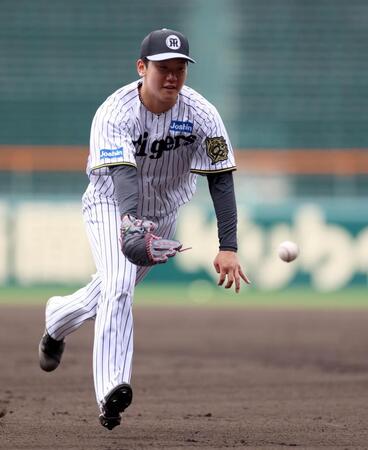 　守備練習でボールをトスする門別（撮影・北村雅宏）