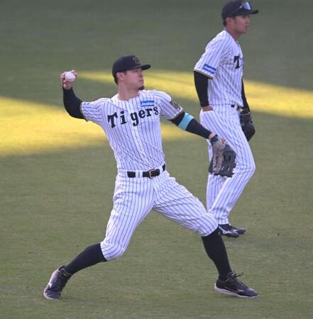 　シートノックで右翼の守備につく佐藤輝（撮影・飯室逸平）