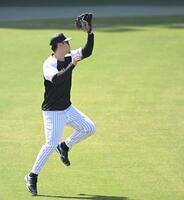 ライトで打球を追う佐藤輝