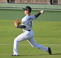 　シートノックで左翼の守備に就く森下（撮影・飯室逸平）