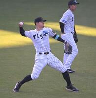 　シートノックで右翼の守備につく佐藤輝（撮影・飯室逸平）