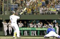 　１１回、森下（手前）がサヨナラとなる押し出し四球を選び、歓喜する阪神ナイン（撮影・北村雅宏）