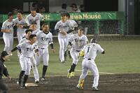 　サヨナラでの勝利に沸く阪神ナイン（撮影・飯室逸平）