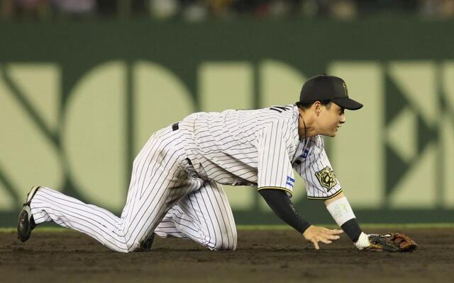阪神タイガース 木浪聖也選手 使用済みバット ヒビ割れ有り ①