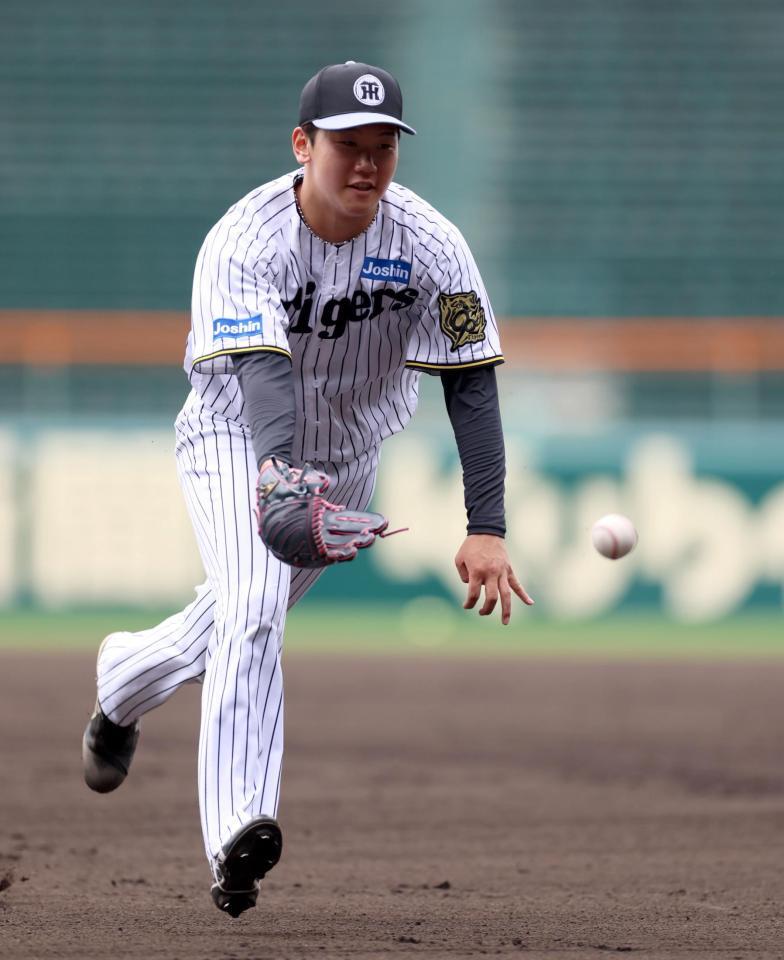 　守備練習でボールをトスする門別（撮影・北村雅宏）