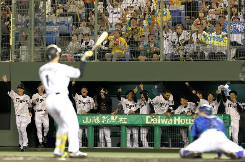 　１１回、森下（手前）がサヨナラとなる押し出し四球を選び、歓喜する阪神ナイン（撮影・北村雅宏）