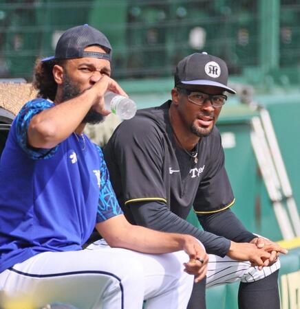 　練習の合間、ジャクソンと話し込むデュプランティエ（右）＝撮影・北村雅宏