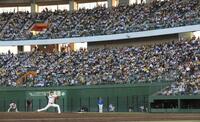 　先発し、力投する才木＝２７日