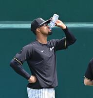 　水分補給するデュプランティエ（撮影・西田忠信）