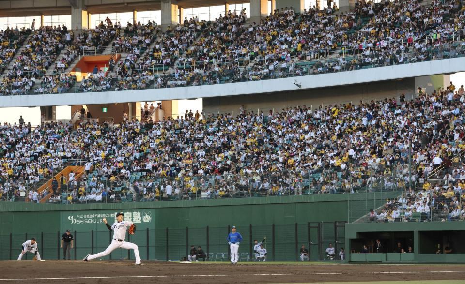 　先発し、力投する才木＝２７日