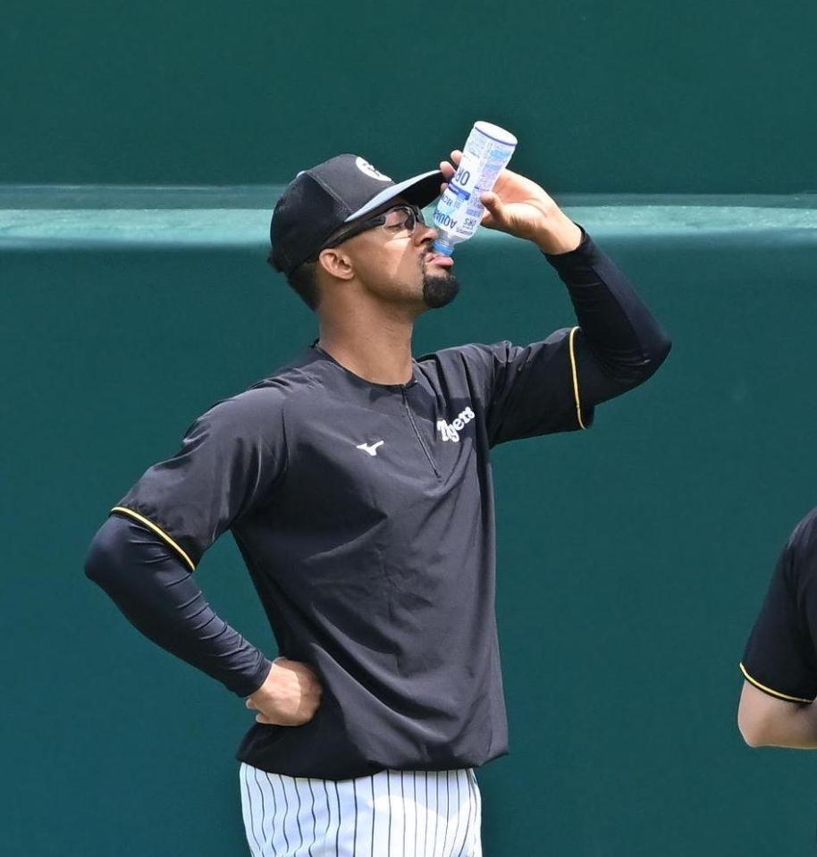 　水分補給するデュプランティエ（撮影・西田忠信）