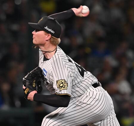 　６回から２番手で登板するネルソン（撮影・西田忠信）