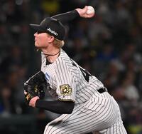 　６回から２番手で登板するネルソン（撮影・西田忠信）