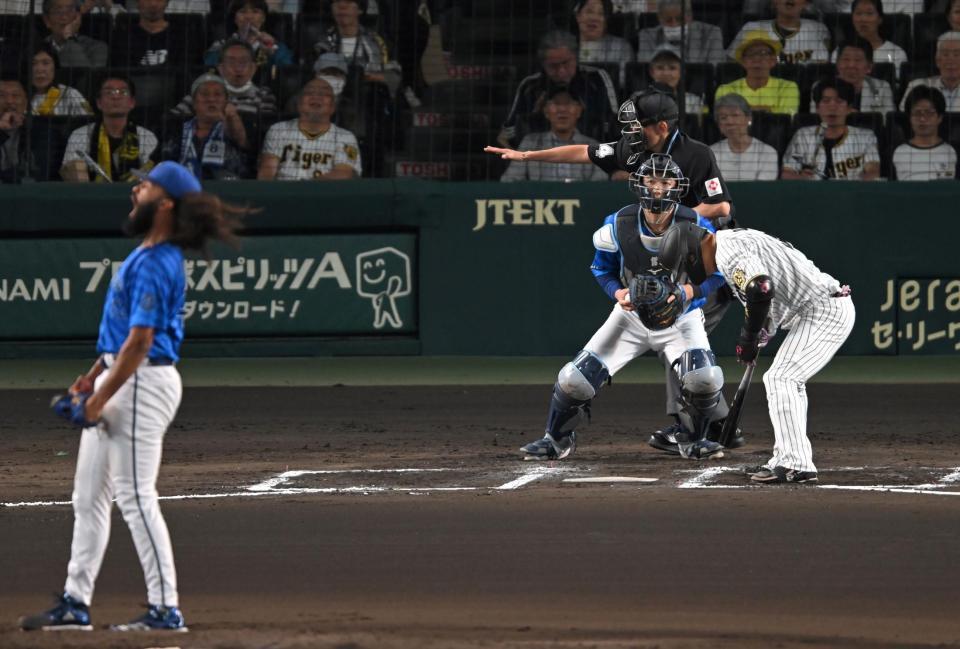 　６回、ジャクソン（左）の前に見逃し三振に倒れる大山（撮影・飯室逸平）