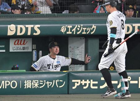 　ベンチで厳しい表情の藤川監督（撮影・飯室逸平）