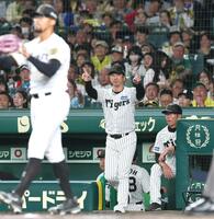 　７回、度会の生還でリクエストを要求する藤川監督（撮影・立川洋一郎）