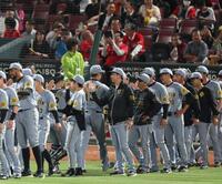 　広島に勝利し、ナインを迎える藤川監督（中央）＝撮影・北村雅宏