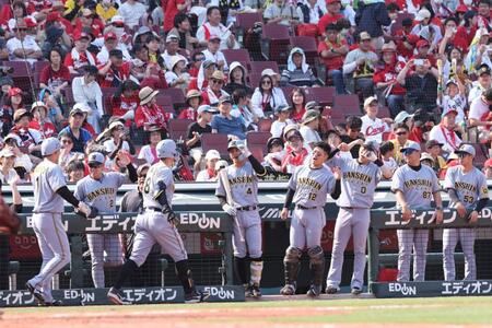 　８回、生還した佐藤輝と森下を出迎える阪神ナイン（撮影・市尻達拡）