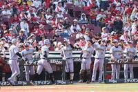 　８回、生還した佐藤輝と森下を出迎える阪神ナイン（撮影・市尻達拡）