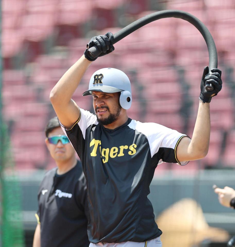 　打撃練習の準備をするヘルナンデス（撮影・田中太一）