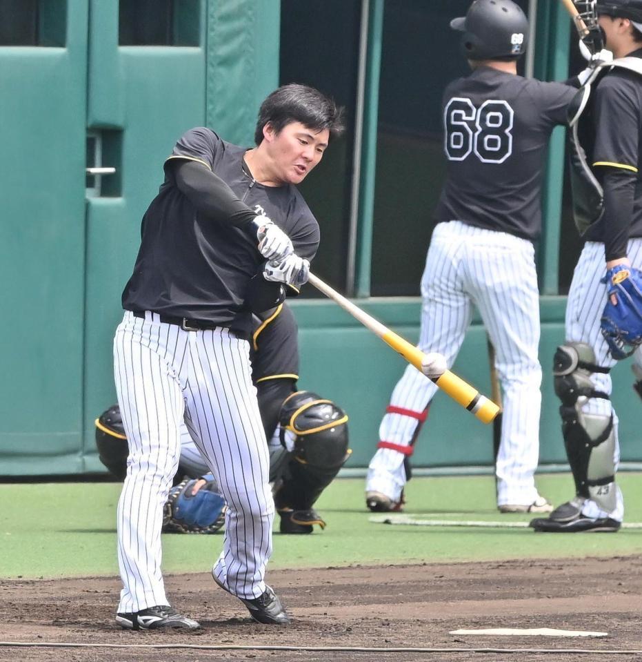 　試合前、ロングティーに取り組む前川（撮影・西田忠信）