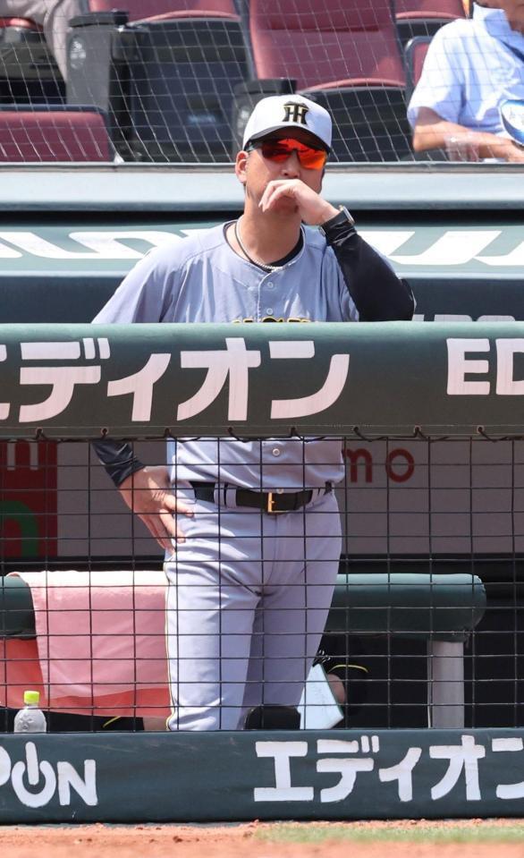 　２回、グラウンドに視線を送る藤川監督（撮影・市尻達拡）