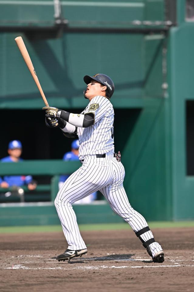 　８回、死球を受ける前川（撮影・西田忠信）