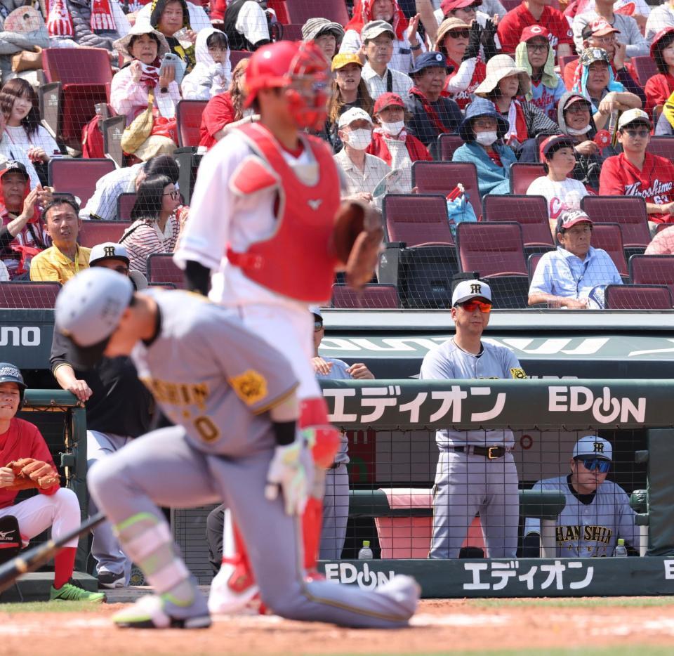 　５回、空振り三振に倒れた木浪に視線を送る藤川監督（撮影・市尻達拡）