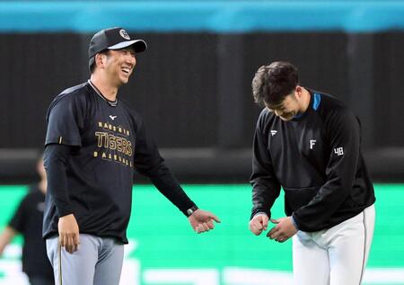 阪神は豊田が「７番・ＤＨ」今季８試合で打率・４００　先発は交流戦５勝０敗の才木【スタメン】