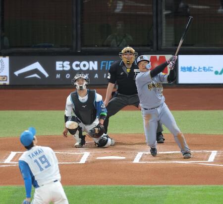 　６回、先制ソロを放つ大山（撮影・西岡正）