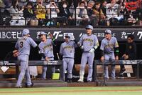 　６回、先制ソロを放った大山（左）を迎える阪神ナイン（撮影・中島達哉）