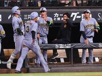 　６回、先制ソロを放った大山（左から２人目）を迎える阪神ナイン（撮影・中島達哉）