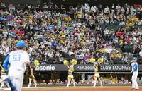 　交流戦の初日、エスコンフィールドに詰めかけた阪神ファン