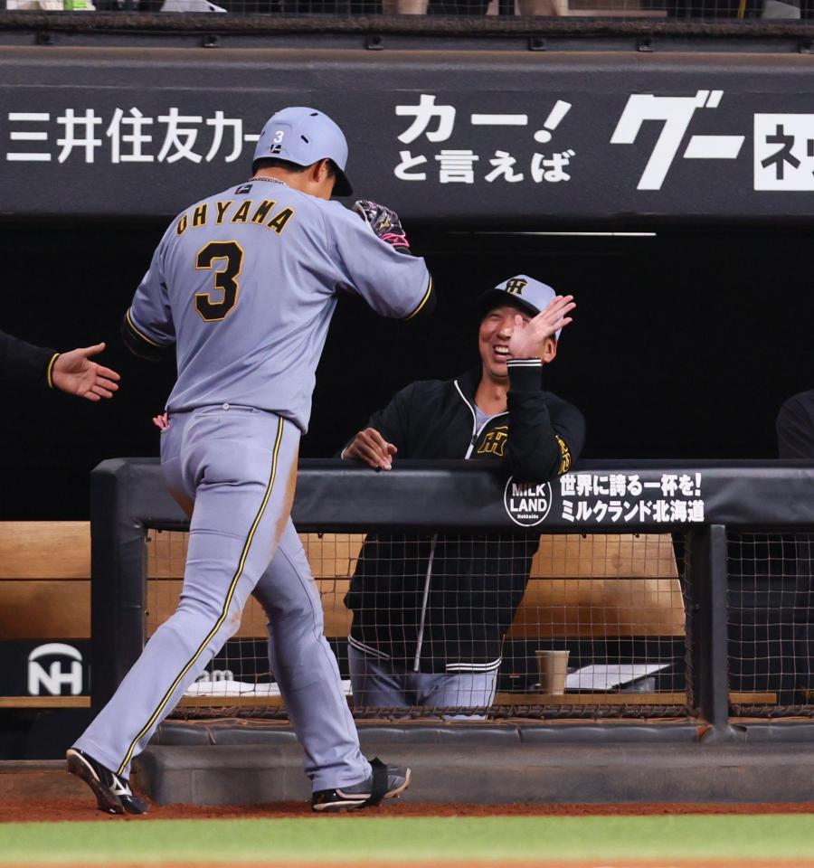 　６回、先制ソロを放った大山（左）を迎える藤川監督（撮影・中島達哉）