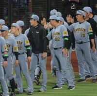 　日本ハムに勝利し、藤川監督（中央右）と並んでナインを迎える才木（同左）＝撮影・西岡正