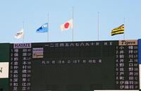 スタジアムに掲げられた半旗（撮影・立川洋一郎）