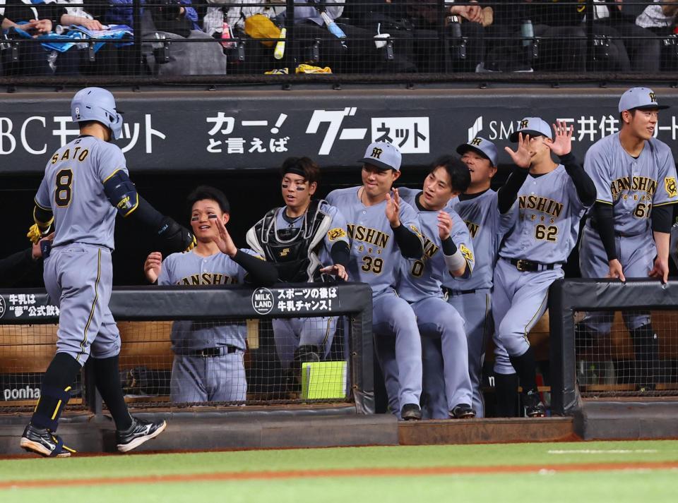 ４回、ソロを放った佐藤輝（左）を迎える阪神ナイン（撮影・中島達哉）