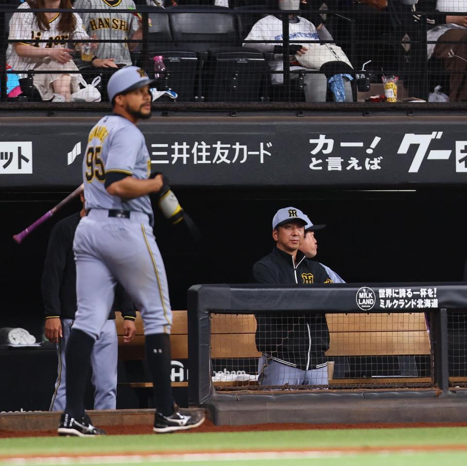 　９回、戦況を見つめる藤川監督（左は三振に倒れベンチに戻るヘルナンデス）＝撮影・中島達哉