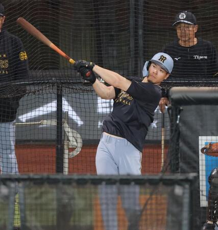 　打撃練習を行う佐藤輝（撮影・西岡正）