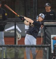 　打撃練習を行う佐藤輝（撮影・西岡正）