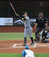 　８回、通算１００号となるソロを放つ佐藤輝（撮影・西岡正）