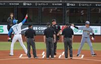 　メンバー表交換で新庄監督（左）、審判団と手を合わせた後、打ち合う藤川監督（撮影・西岡正）