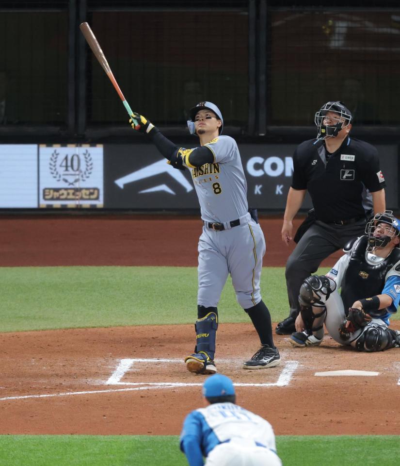 　８回、通算１００号となるソロを放つ佐藤輝（撮影・西岡正）