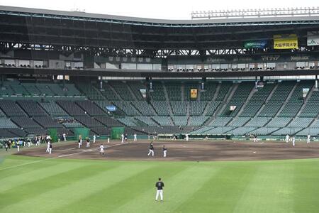 　試合前練習でシートノックをする阪神ナイン（撮影・西田忠信）