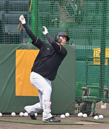 　打撃練習する小幡（撮影・西田忠信）